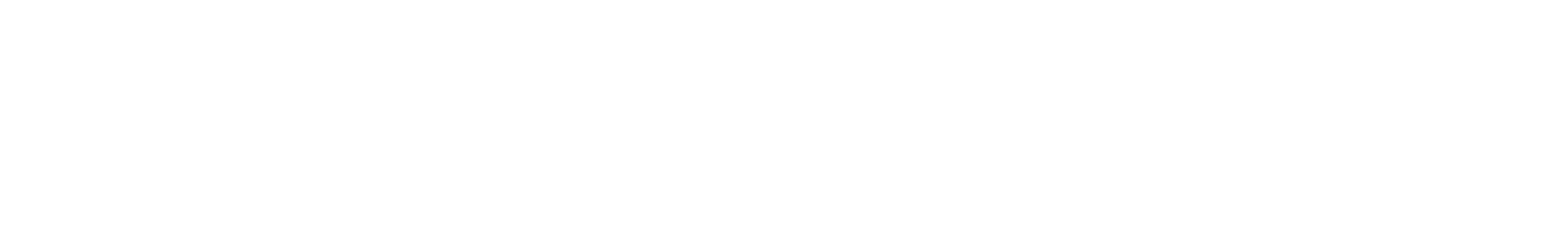Hikesity Logo